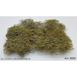 Rovi Cespugli fioritura bianca